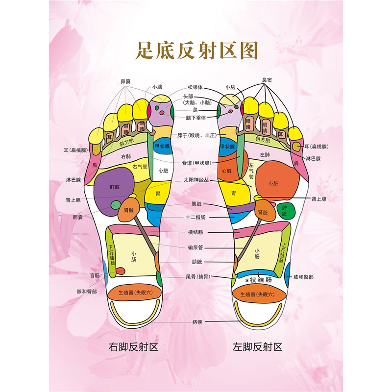 专业修脚脚底穴位图海报贴纸贴画养生馆挂图美容院理疗自粘海报