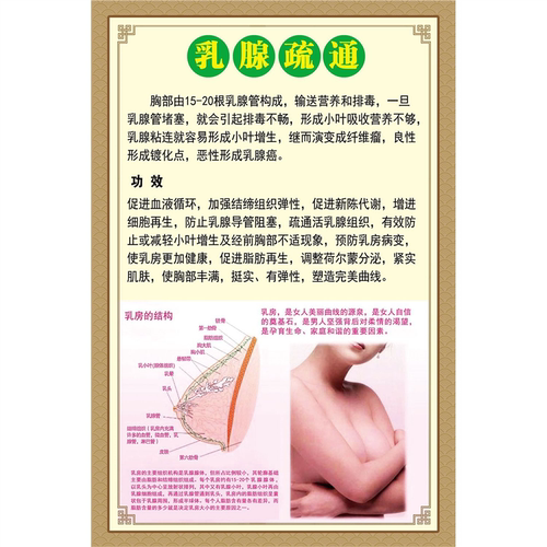 乳腺保养海报调理图片美容院广告宣传海报女性墙壁画胸部乳腺疏通