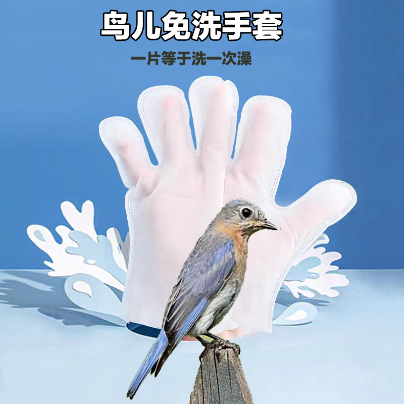 鹦鹉免洗手套干洗巾慧宠儿