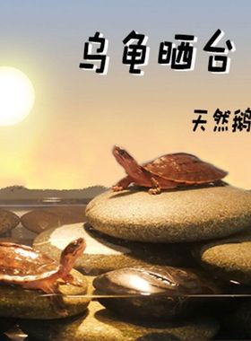 天然乌龟晒台石头爬宠爬台扁鹅卵石龟缸浮岛晒背石鱼缸造景躲避洞