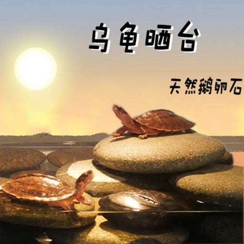 天然乌龟晒台石头爬宠爬台扁鹅卵石龟缸浮岛晒背石鱼缸造景躲避洞