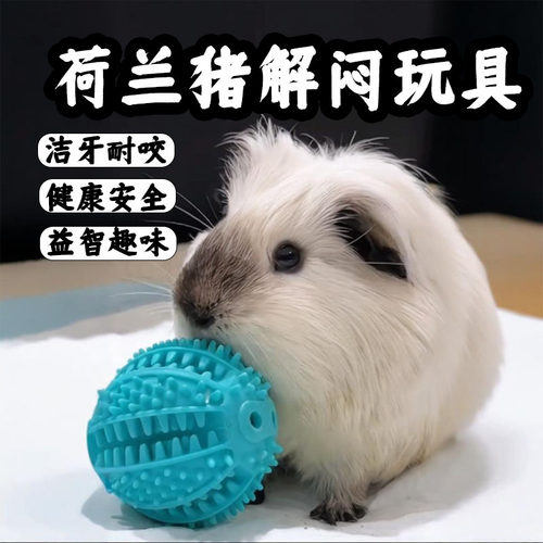 荷兰猪解闷玩具专用豚鼠磨牙认知游戏小玩具生活咀嚼益智互动用品
