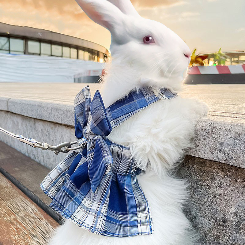 兔子衣服牵引绳夏天挣脱可爱侏儒