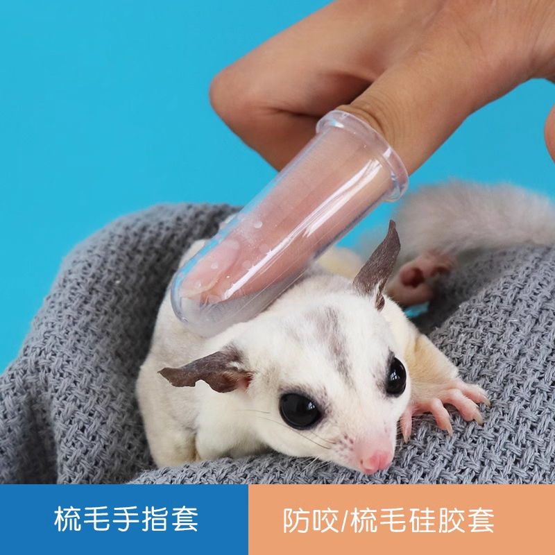 蜜袋鼯防咬仓玩具花枝鼠梳毛