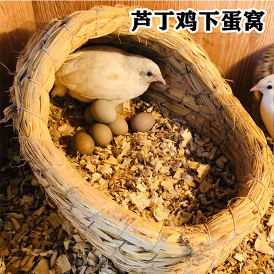 芦丁鸡造景草窝下蛋窝草编保暖窝