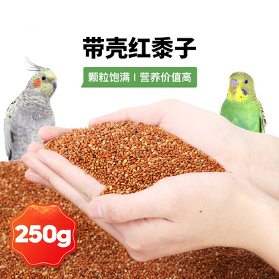 带壳红黍子糜子虎皮牡丹玄凤鹦鹉粮鸟食饲料谷子大黄米非小米250g