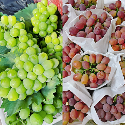 上海马陆葡萄玫瑰香奶油十斤现摘