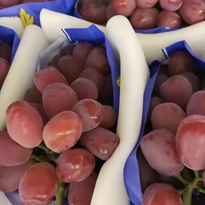 马陆葡萄浪漫红颜现摘五斤礼盒装