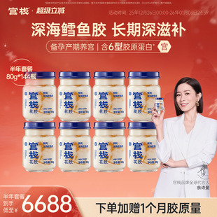 官栈养宫鲜炖花胶即食鱼胶孕妇补品深海鳕鱼胶半年套餐80g 144瓶