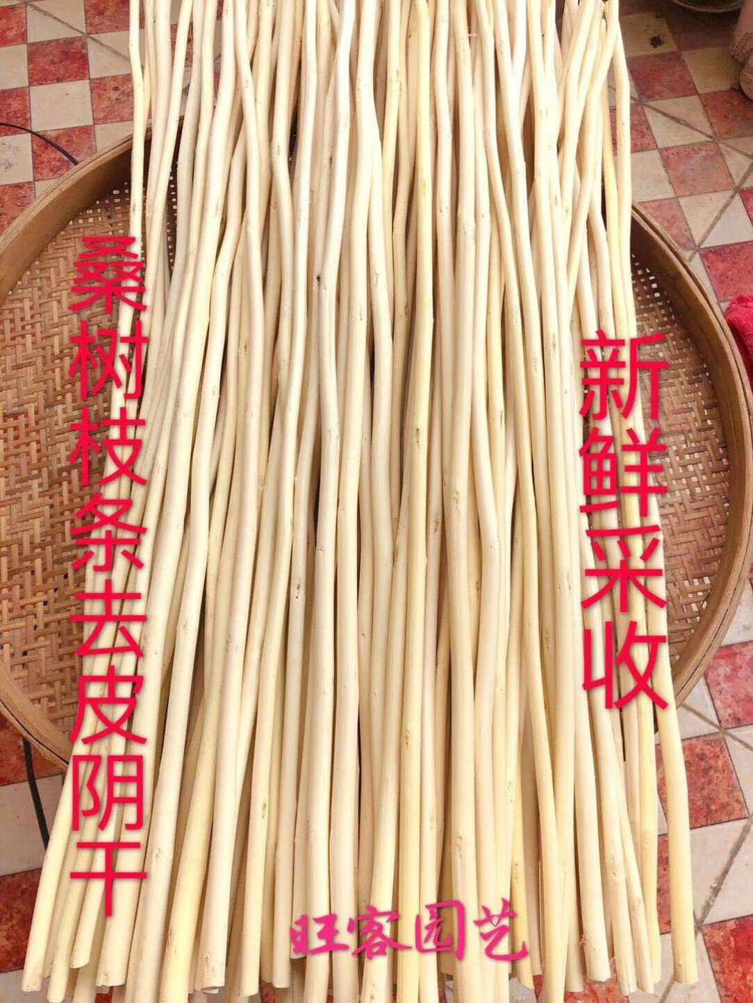 桑枝拍打棒桑枝棒木棒经络棒桑树条敲背捶敲打木棍经络拍敲背锤背