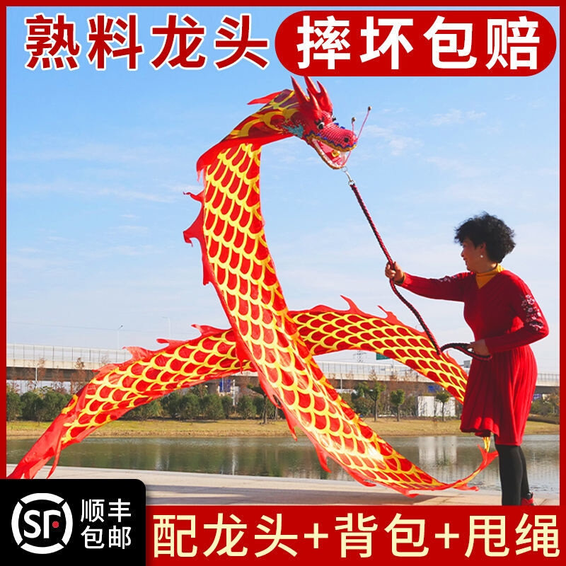 中国舞龙彩带健身健身龙广场甩龙手舞龙烫金发光老年人耍龙头节目