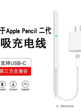 适用于ApplePencil二代磁吸充电线苹果电容笔充电器平替ipad笔充电仓座配件转换器手写笔2代充电转接线连接头