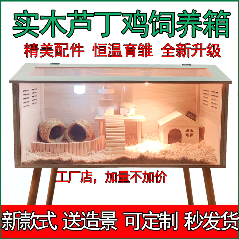 芦丁鸡箱热卖高品质量精选推荐款