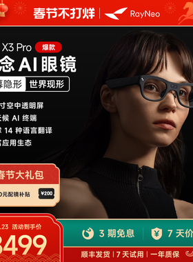 【春节正常发货】雷鸟RayNeo X3 Pro 概念AI眼镜真无线双目全彩显示光波导AR眼镜翻译眼镜便携XR眼镜