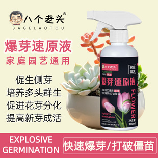 八个老头爆芽速原液促芽催芽多分化插花植物多肉绿植通用型300ml