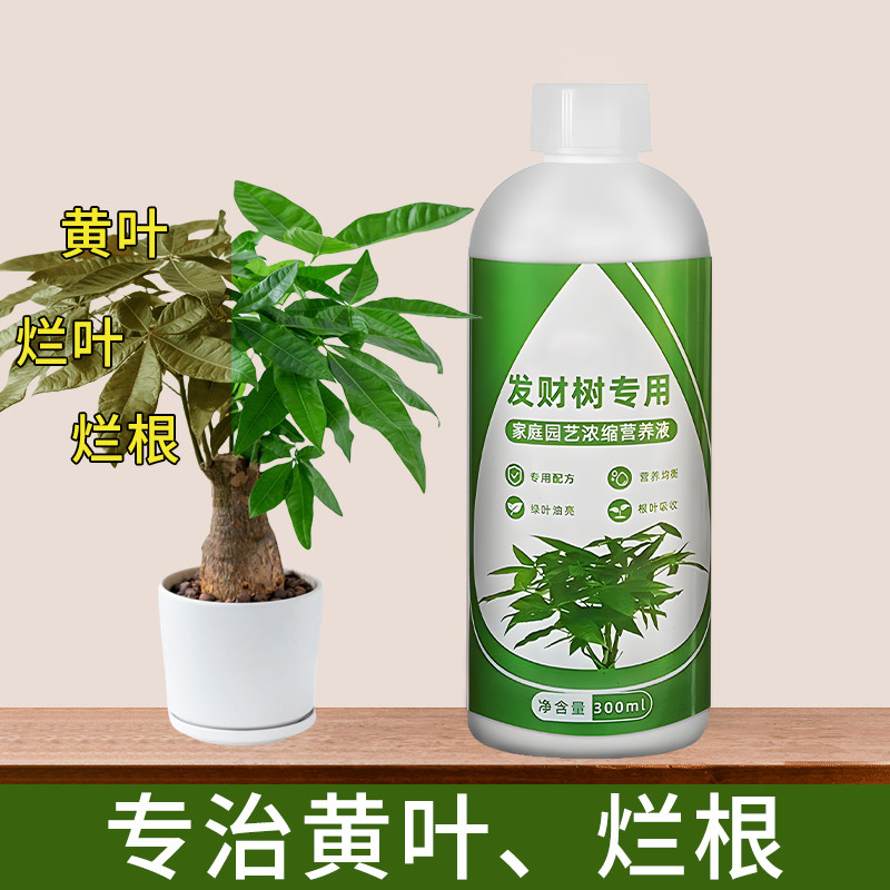 八个老头发财树专用300ml绿叶壮根通用型盆栽水培绿植养花营养液,鲜花速递/花卉仿真/绿植园艺,家庭园艺肥料,淘宝优惠券,粉丝福利购,淘宝优惠卷