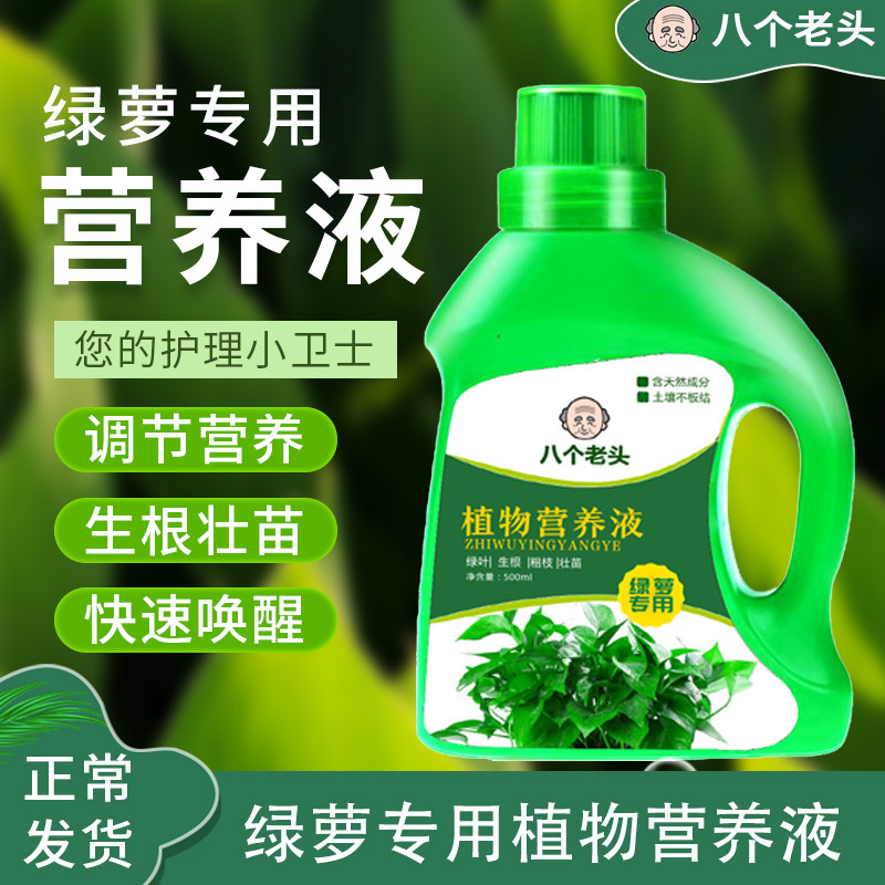 八个老头绿萝专用植物营养液家庭园艺浓缩营养液养分均衡促进吸收