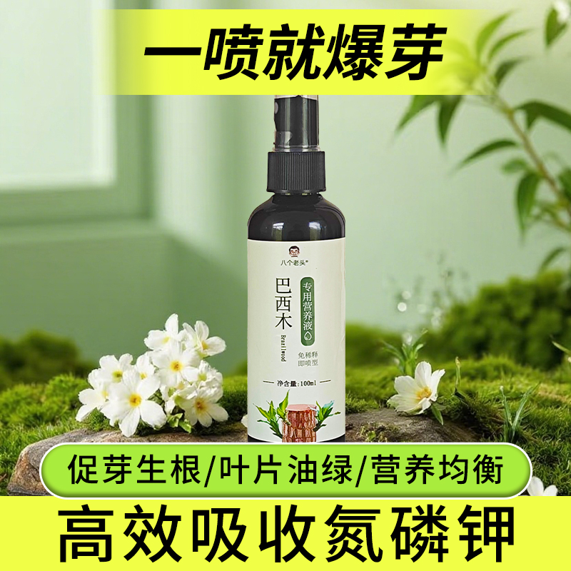 八个老头巴西木专用营养液