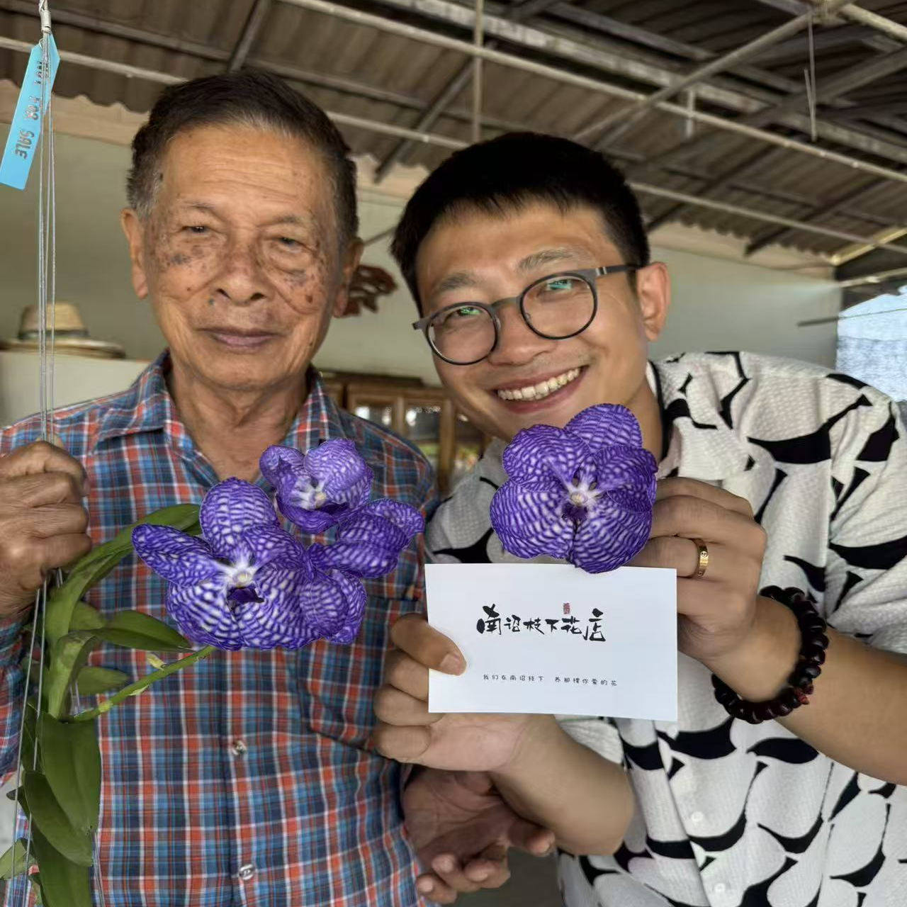 深蓝万代稀少花期长易养