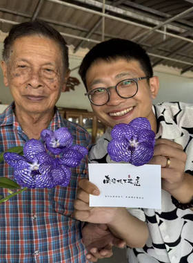 深蓝万代稀少花期长易养