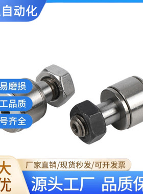 国产BPB01 02 05 BPB11 12 -d3-d4-d5-d6 微型凸轮随动器滚轮轴承