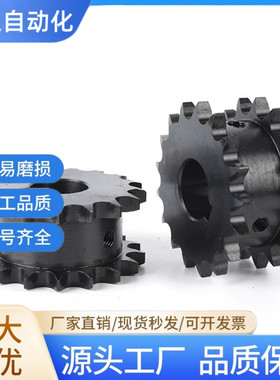 40系列链轮双排链轮 VLR01-12齿-VLR01-21齿定作齿轮链条SP40SD