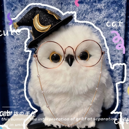 环球影城海德薇衣服圣诞站肩猫头鹰玩偶围巾帽子着替公仔眼镜配饰