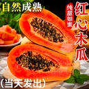 红心牛奶木瓜新鲜木瓜水果当季 树上自然熟冰糖心青皮木瓜现摘整箱