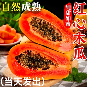 红心牛奶木瓜新鲜木瓜水果当季树上自然熟冰糖心青皮木瓜现摘整箱