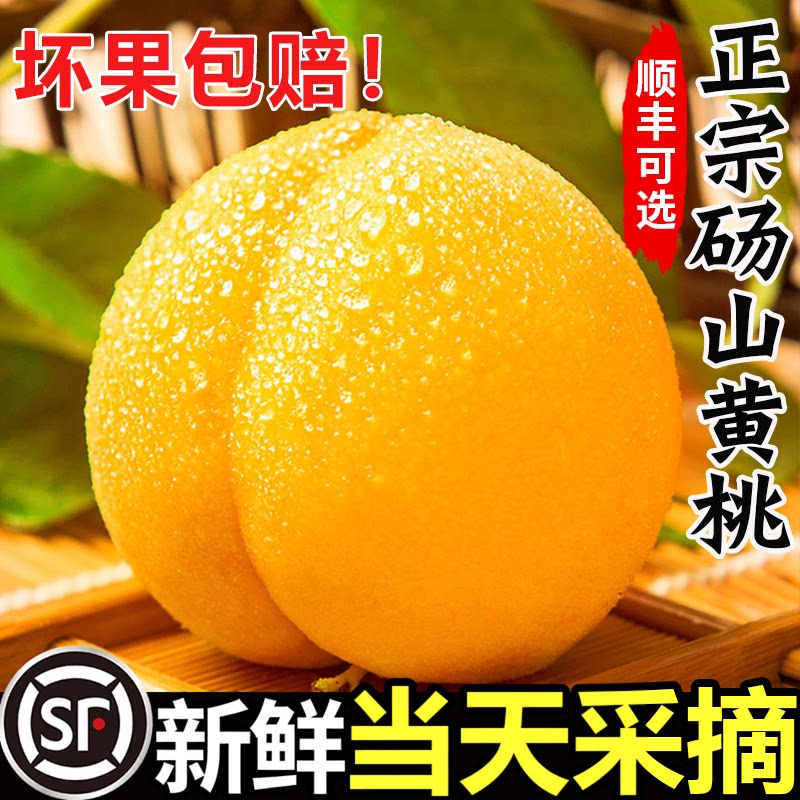 【官方推荐】正宗砀山黄桃