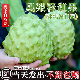 新鲜凤梨释迦果大果番荔枝现摘大目牛奶佛头果林檎摩尼果当季水果