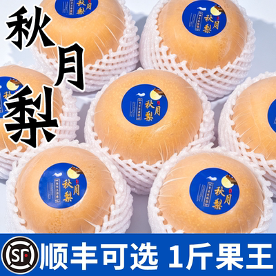 【官方推荐】正宗山东秋月梨