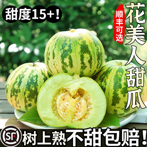 正宗八里香甜瓜！脆嫩多汁！