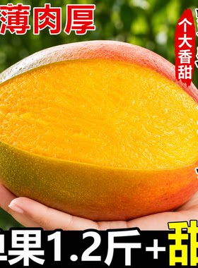 【热卖推荐】凯特芒香甜多汁