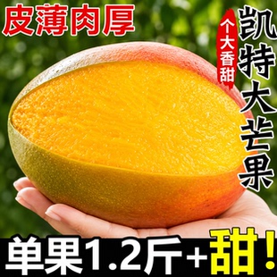 四川拳枝花凯特芒果新鲜应季水果青整箱澳芒10包邮特大青果当季斤