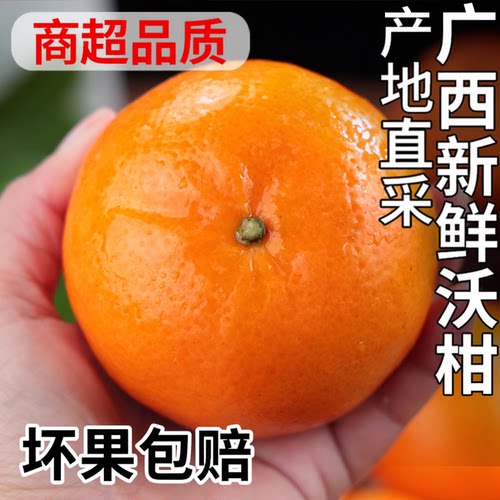 【官方推荐】广西沃柑|不甜包赔