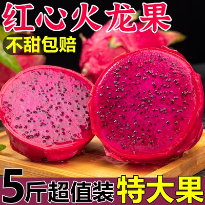 广西金都一号红心火龙果