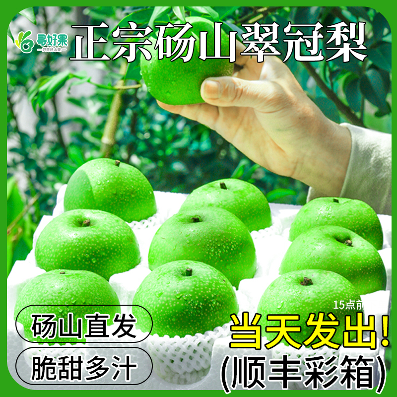 正宗砀山翠冠梨新鲜10水果当季整箱斤安徽皇冠翠玉梨产地直发青梨