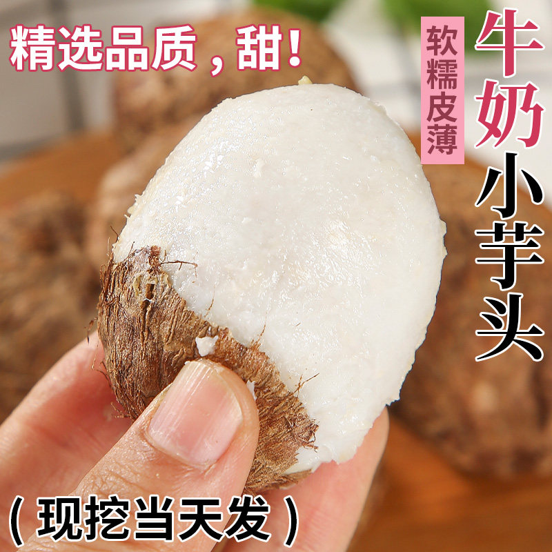 云南牛奶芋头小香芋5斤现挖农家自种新鲜毛芋头奶油芋艿软糯蔬菜