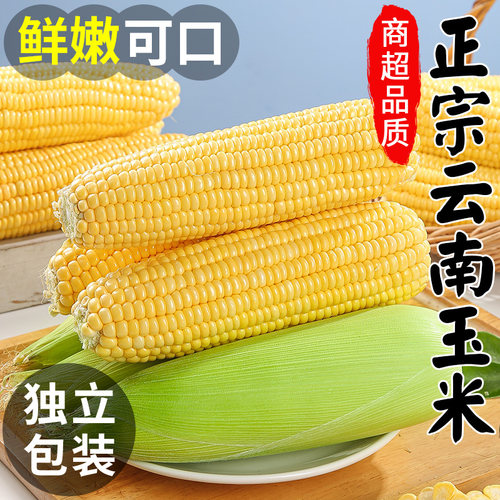 【官方推荐】正宗云南水果甜玉米