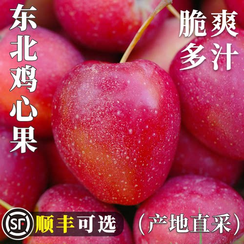 【产地直采】新鲜东北鸡心果