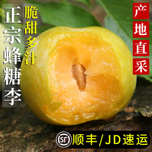 【正宗蜂糖李】脆甜多汁