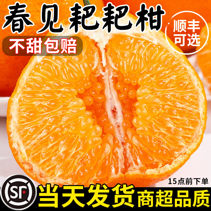 【当天发货】正宗四川春见耙耙柑