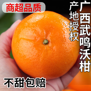 正宗广西武鸣沃柑橘子斤新鲜水果整箱柑橘现摘沙糖蜜橘砂糖10大果
