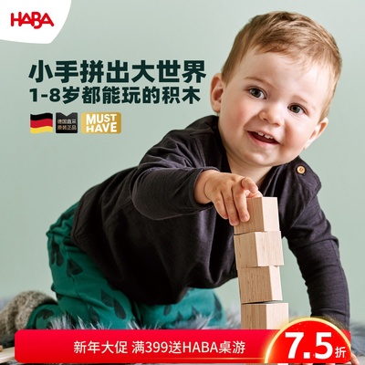 德国HABA1-8岁实木积木