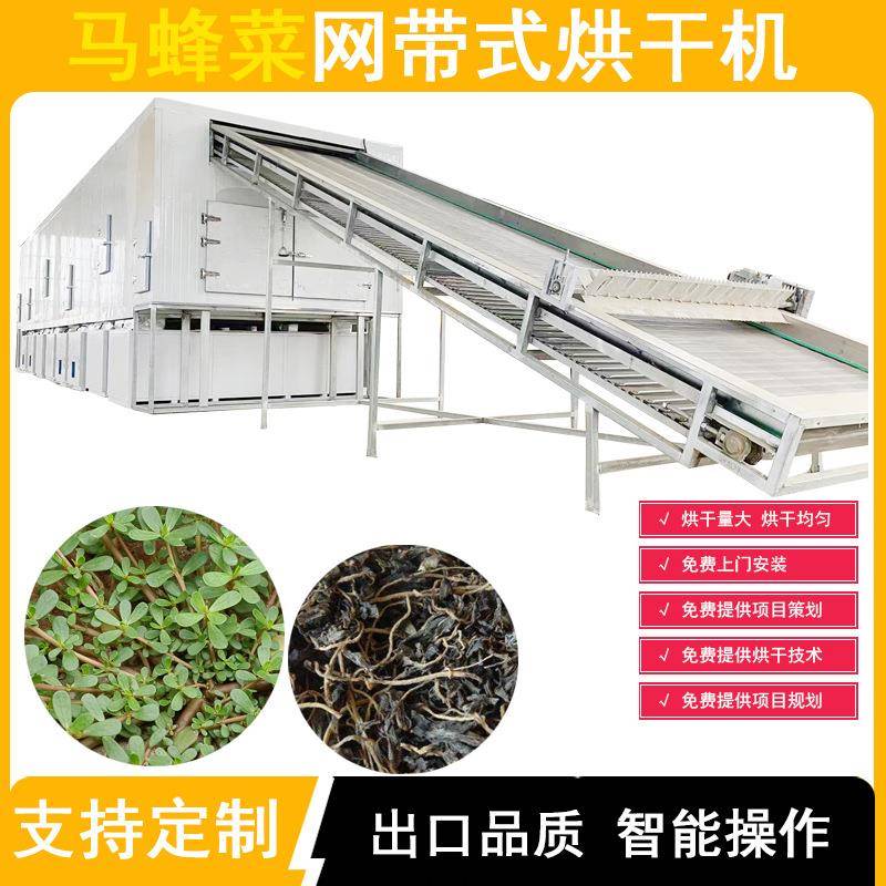 马齿苋烘干机中药材马齿菜马蜂菜烘干房网带式马齿苋野菜干燥机
