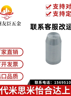 精密定位销-直杆锥头型 PAMA-D3 D4 D5 D6 D8 D10 D12