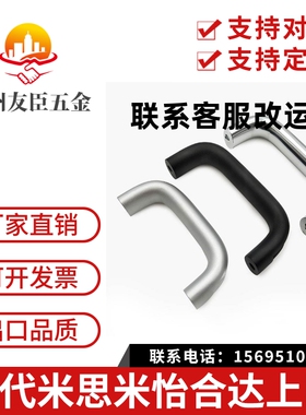 XAP06-A16-L60/L80/L100/L128/L160-H38铝合金内装C型椭圆形拉手