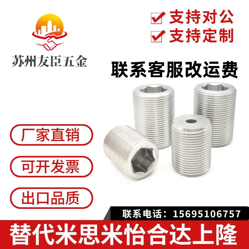 LVWS/LVFWS12/16/20/24/30-10/15/20/25/30/35/40调整螺丝PAF03