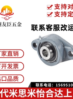 T-BDU菱形带座轴承 BDU202 203 204 205 206 207 208 209 210